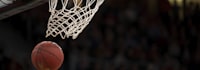 国际篮球联合会FIBA标志